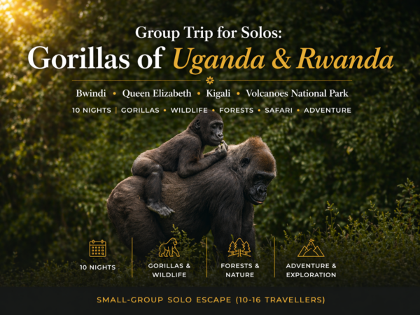 Solo Mixed Group Safari Trip - October 2027